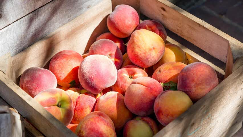 Фото - В Болгарии производители персиков заявили о колоссальном обвале на рынке