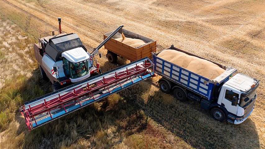Фото - Глава ВТБ предложил запретить западным трейдерам покупать зерно в России
