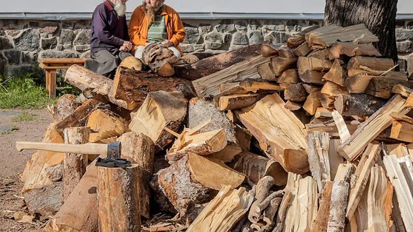 Фото - В России подорожали дрова и уголь