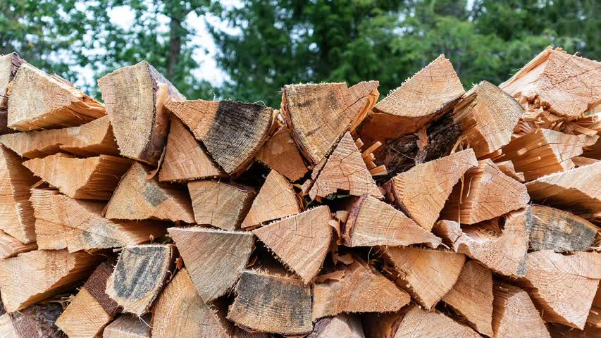 Фото - Жители Европы начали воровать дрова